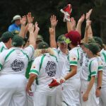 cricket_228502_04.jpeg