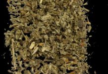 Family impact of drug addiction