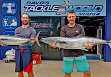 Australia Day shines on