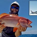 fishing_227303_02.jpg