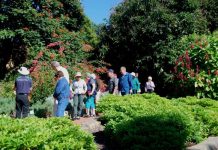 Summer magic in the gardens