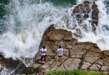 The price of a feed of fish