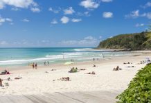 Council calls for tenders for new Beach Permits