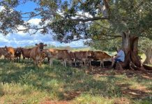 Make mine milk: Richard’s a real bottler