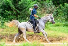 Dreams can come true