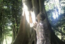 New land added to ‘ring of forest’