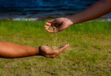 First Nations Forum set for March