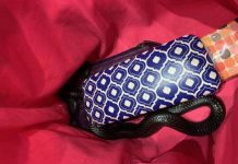 Highly venomous snake found in hand bag