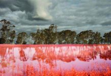 Gallery celebrates First Nations artists in new exhibition program