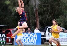 Tigers roar into season