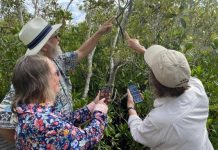 Climate watch with Dr Lisa Ryan