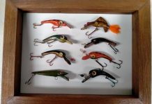 Mystery of the lures