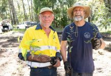 Trees planted for climate week