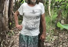 Finding Wolfie of the wild