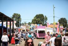 Noosa Country Show in need of volunteers