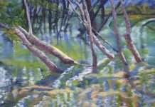 New exhibition at Pomona