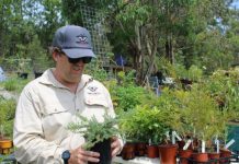 Nathan uses nature to make his community more inclusive