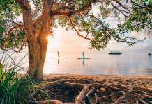 Tourism set to rebound as State’s tourism Awards relaunch