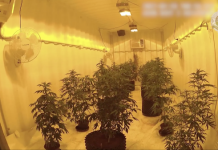 Drug trafficking charge following illicit discovery in Noosaville