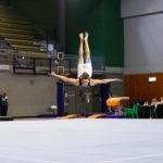 gymnastics_233342_01.jpg