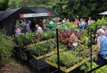 Autumn plant sale at Botanic gardens