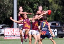 Palmy just too good for Tigers