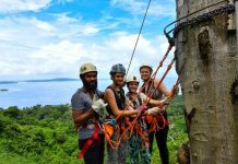 Stopping it at the Start