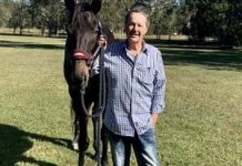 Ian’s back in the old showbiz routine