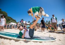Surfing Dog Championships are back