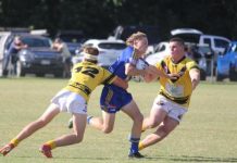 Noosa Pirates take on Gympie Devils this weekend