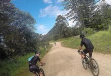 Noosa Rise and Grind kicks off