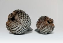 New exhibition observes Cooroy’s wood-fired practices