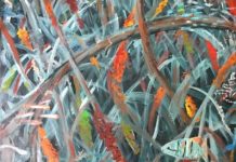 Natural Habits at The J