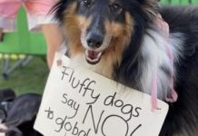 Noosa Councillor speaks at climate strike