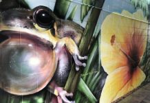 Tewantin celebrates a new splash of colour