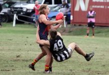 Tigers have high hopes