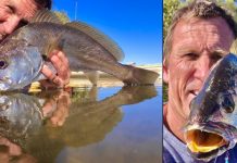 Swell after the calm