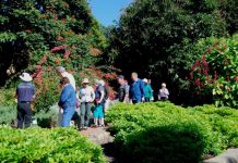 Colours on show at Botanic Gardens