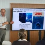 sharks_238070_01.jpg