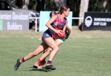 Brave play from injury affected Tigers