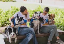 G-Day raises $266,000 for research