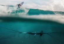 Documentary sheds light on ‘shark safety’ programs