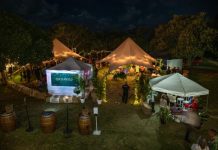 Tourism Noosa’s village funding delivers results