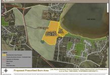 Planned burn set for Peregian Beach
