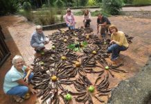 Big day at Botanic Gardens