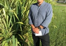 Exercise cancer away