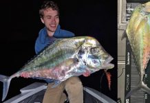 Bigger fish on the horizon