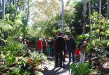Botanic Garden activities this weekend