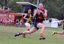 Tigers action and celebration