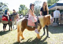 Noosa Alive with festival